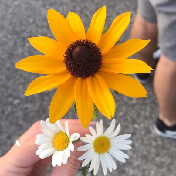 Meet your Posher, Aurora - Picture 1 of 1